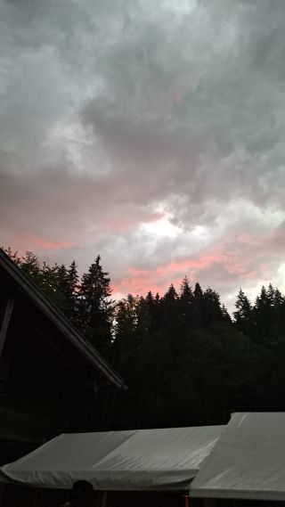 [73]