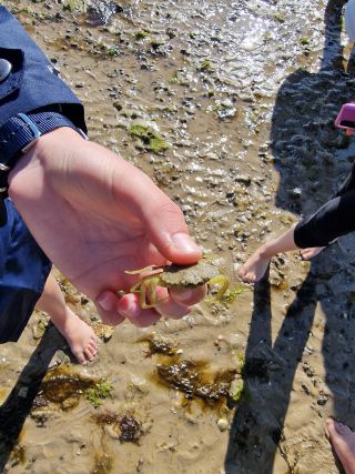 [23]